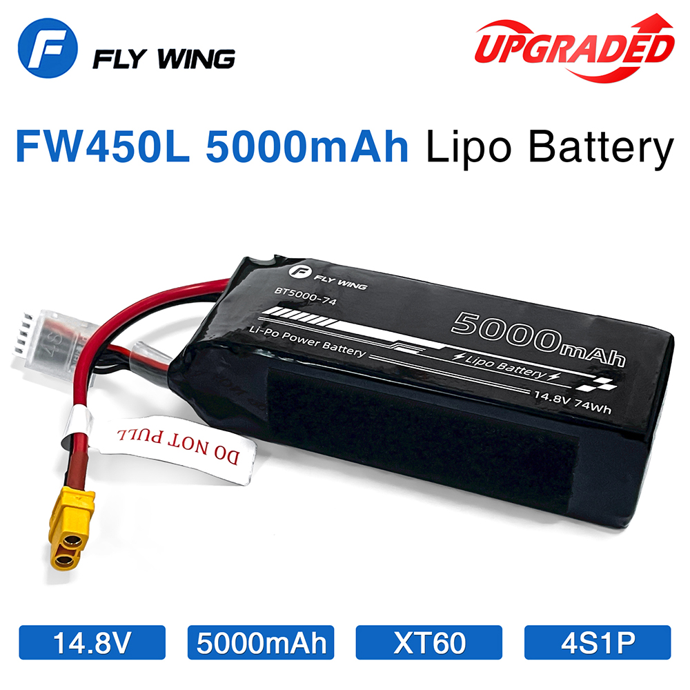 Fly Wing-batería Lipo de 4S FW - Rc Helicopter Bag reseña y precio